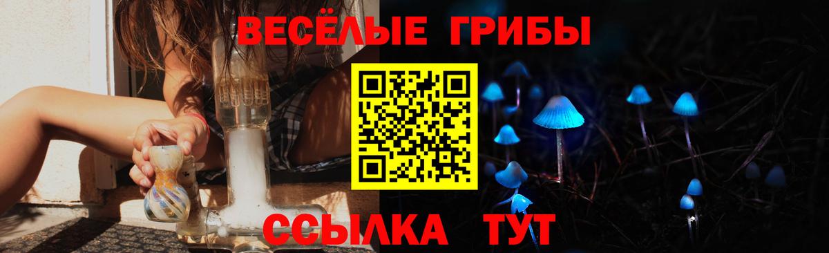 где купить наркоту  Галлюциногенные грибы Magic Shrooms  Вход с VPN  Губкинский 